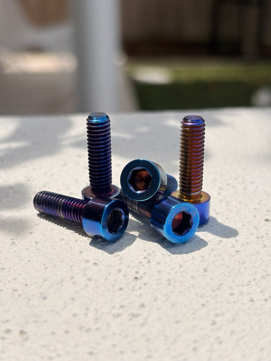 Fatboy Rear Rack Titanium Bolts