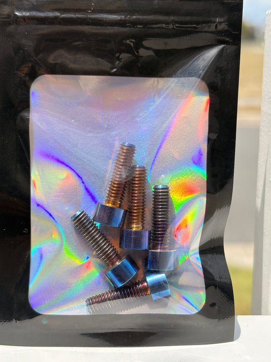 Fatboy Rear Rack Titanium Bolts